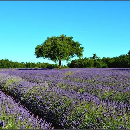 Holiday home L'oustaou Du Luberon Et Villelaure
